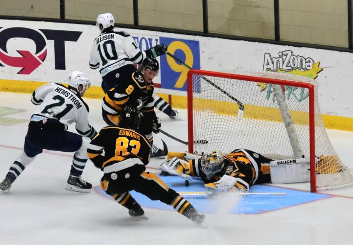 Nailers Win Game 6 In Overtime, Force Game 7 On Monday Night